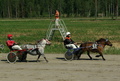 1 Napo's Nick - Laura Pasanen
2 A.S. Super Star - Jesse Piirainen