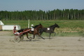 7 Magical Hulda - Antti Tupamäki
10 Victoria Boko - Sami Vehviläinen