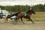 Markus Chief - Harri Kotilainen