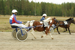 16 Niskavuoren Aarne - Anniina Pekonen
1 L.R. Pinochio - Manta Tuomi