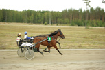 Markus Chief - Harri Kotilainen