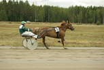 Sävelen Arttu - Risto Tupamäki