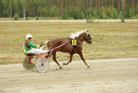 Vaarin Valtti - Kari Masalin