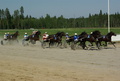 2. lähtö