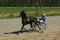 Karins Pirat - Timo Holkko