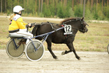 Saphira - Veera Pietiläinen