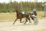 Sundsvik Go Go - Armas Palmroos