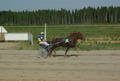 Kole - Pekka Vehviläinen