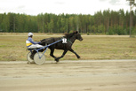 Trö Fyr - Pekka Vehviläinen