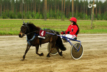 Oliver II - Viivi Mattinen