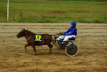 Smevallens Hurricane - Piia Riihuhta