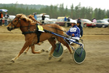Vivanni - Matti Kumlin
