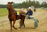 Vouti Lyyti - Markku Koskela