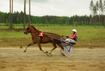 Voiskeri - Jukka Karhulahti