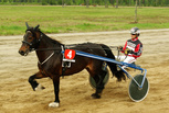 Lotta Tabac - Sami Vehviläinen
