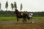 Sävelen Arttu - Veikko Svart