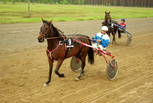 Enola Gay Away - Risto Liimatainen