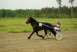 Trö Fyr - Sami Vehviläinen