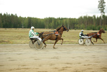 5 Oiva Koo - Seppo Kynnäs
4 Ekebo Kajsa - Jaakko Jylhä