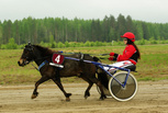 Oliver II - Viivi Mattinen