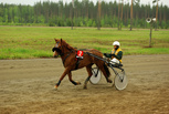 Vara-Pimu - Jouni Vainio