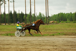 Sheena Backwoods - Matti Partanen