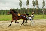 Emory Flame - Harri Kotilainen