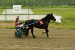 Lotta Tabac - Sami Vehviläinen