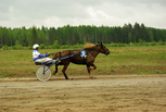 Etu-Vinkaus - Sami Fredin