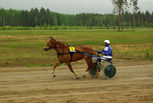 Vouti Lyyti - Markku Koskela