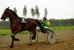 Noble Napoleon - Matti Partanen