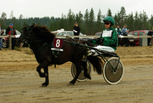 Captain Boy - Heta Kauppinen