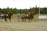 2 Peli-Pertsa - Risto Tupamäki
3 Armaani - Jouko Tarvainen