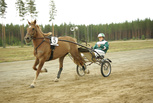 Sävelen Arttu - Risto Tupamäki