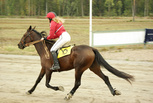 Gabriella Sea - Eeva Linqvist