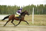 Enola Gay Away - Karoliina Sinkkilä