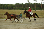 4 Ekebo Kajsa - Jaakko Jylhä
7 Blady Nightmare - Maarit Haikara
