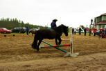 Agilityponi Ajoksen Hupsu