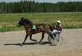 Solena - Anne Kinnunen
