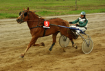 P.S. Roteva - Juha Riekkinen