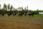 5.lähtö