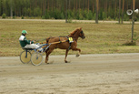 Peli-Pertsa - Risto Tupamäki