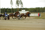 3 Punta - Sami Vehviläinen
1 Teku-Poika - Mikko Peränen