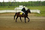 Jack Brown - Katri Manninen