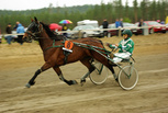 Wilma Windhill - Petri Parkkonen