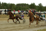 2 Peli-Pertsa - Risto Tupamäki
3 Armaani - Jouko Tarvainen