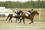 1 Via Filantrop - Teija Murtoniemi-Teppo
2 Beautiful Blend - Saara Eerola