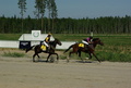 1 Beautiful Blend - Saara Eerola
2 Rebecca Sunrise - Eeva Naukkarinen