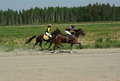 1 Beautiful Blend - Saara Eerola
2 Rebecca Sunrise - Eeva Naukkarinen