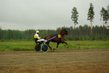 Nekka - Kari Ahokas